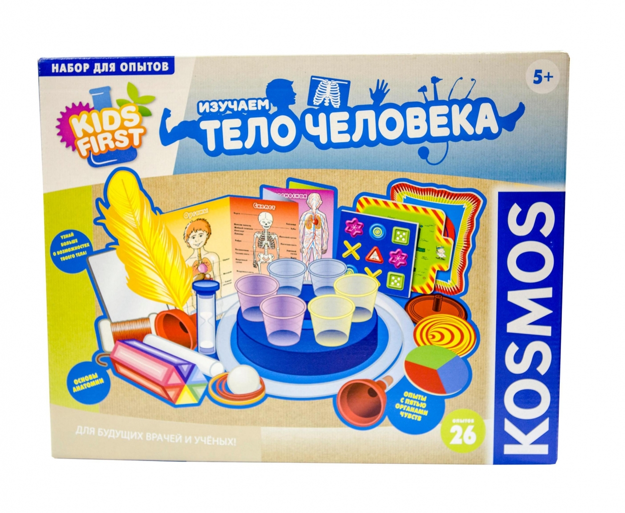 Набор KOSMOS 1617776 Изучаем тело человека