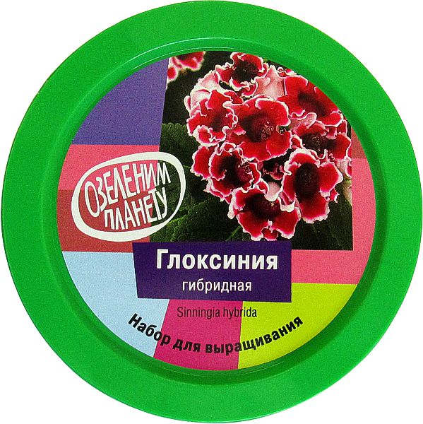 Набор ВЫРАСТИ ДЕРЕВО! zk-066 Гвоздика гибридная