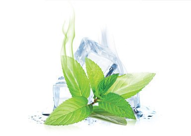 Menthol Liquid Flavor / Ментол TPA